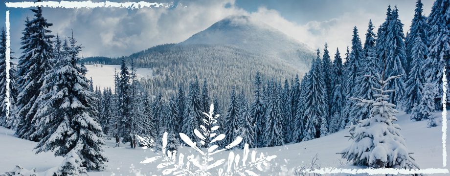 Slider Image 3