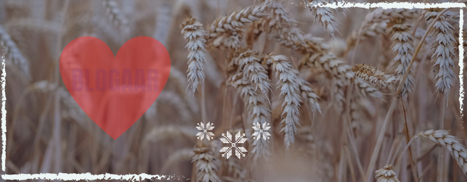 Slider Image 4